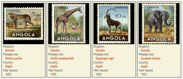 Angola fauna 1952